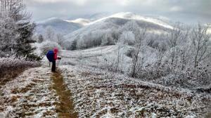 Appalachian Trail pic